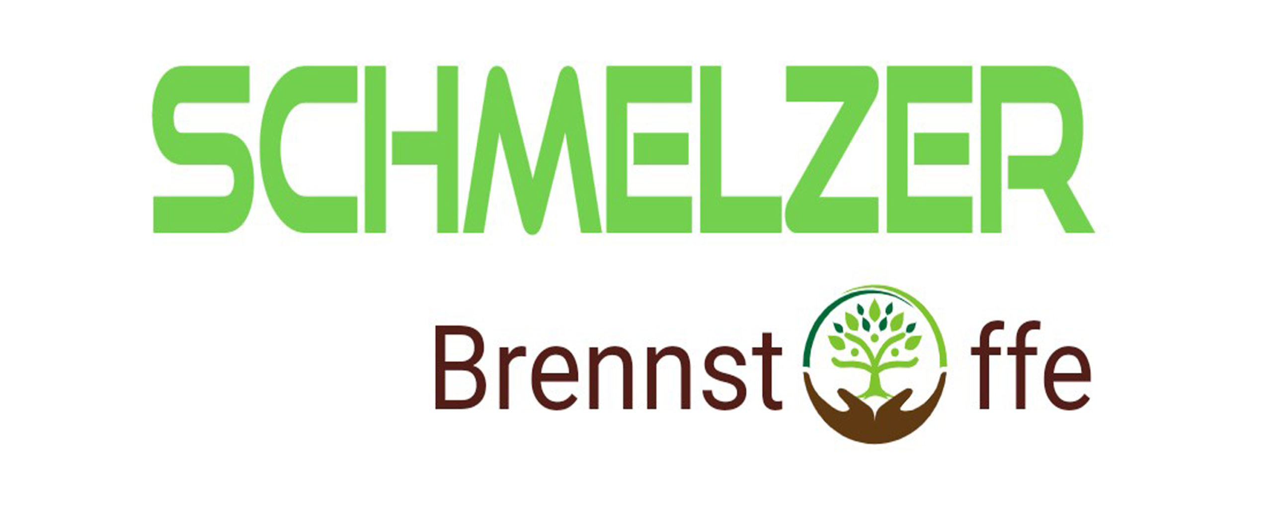 Logo Viktor Schmelzer